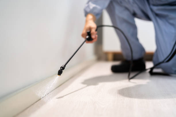 Licensed Termite Control service in Newburgh Heights, OH - Nex Pest Control