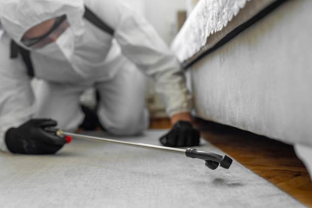Professional Termite Control technician working in Newburgh Heights, OH
