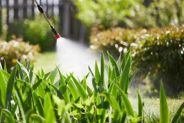 24/7 Emergency Termite Control experts in Newburgh Heights, OH