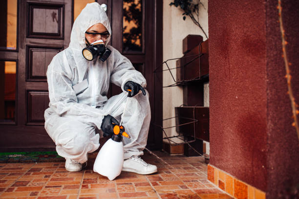 Reliable Termite Control contractor in Newburgh Heights, OH by Nex Pest Control