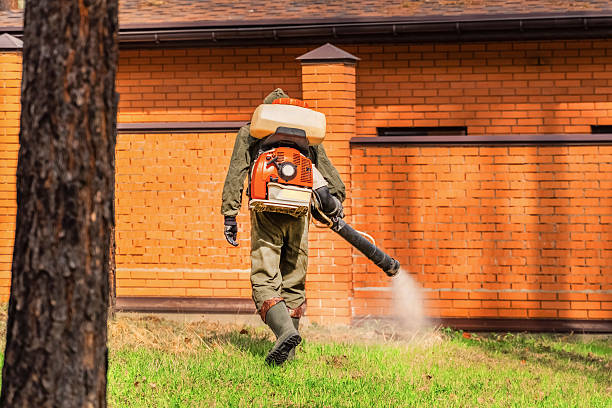 Trusted Cockroach Control service in Newburgh Heights, OH - Nex Pest Control